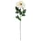 12 Pack: White Orlane Rose Stem by Ashland&#xAE;